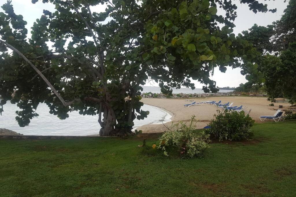 Negril Condo By The Beach Apt. 194 Point Village 외부 사진